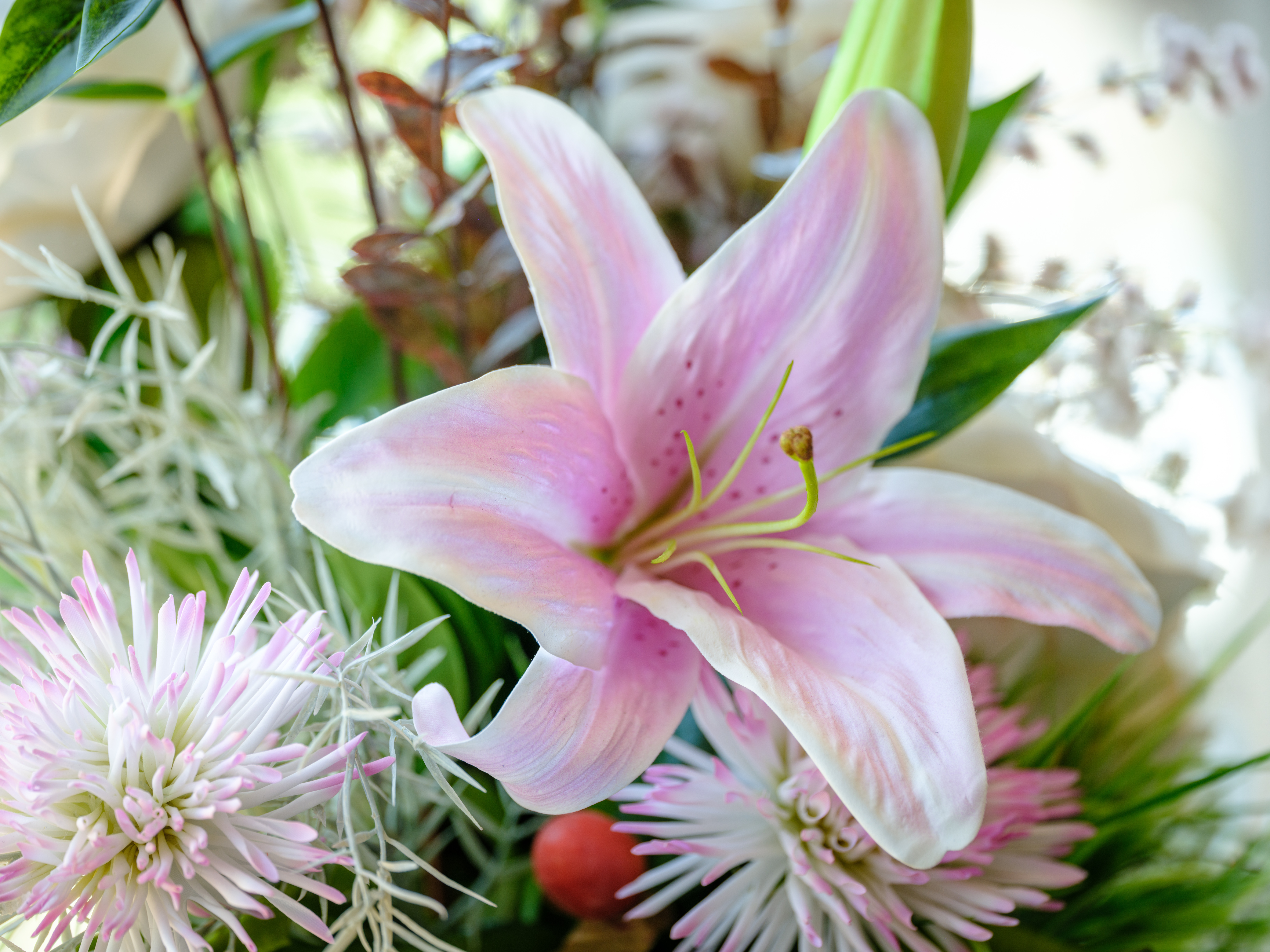 CPJ Field Bedford 16 JH